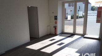 OPPORTUNITE OPPORTUNITE