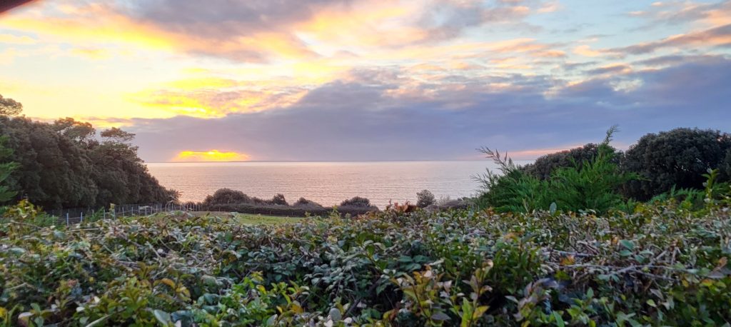 PAYS DE RETZ et COTE DE JADE Immobilier entreprise et de commerce