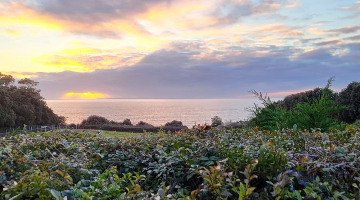 PAYS DE RETZ et COTE DE JADE Immobilier entreprise et de commerce