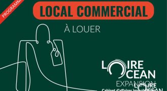 Cellules neuves entre Lamborghini et Ferrari