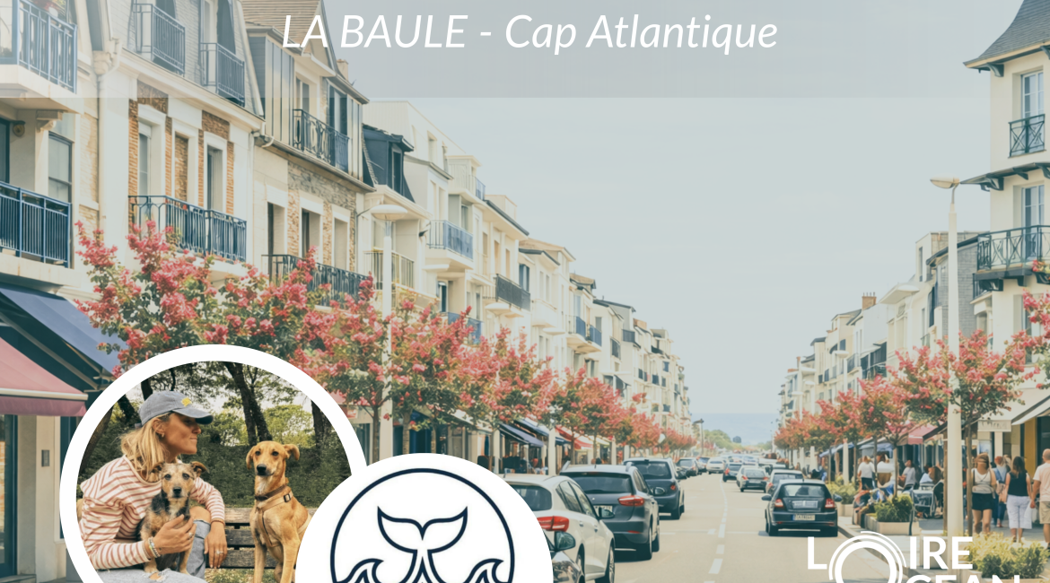 Local commercial LA BAULE