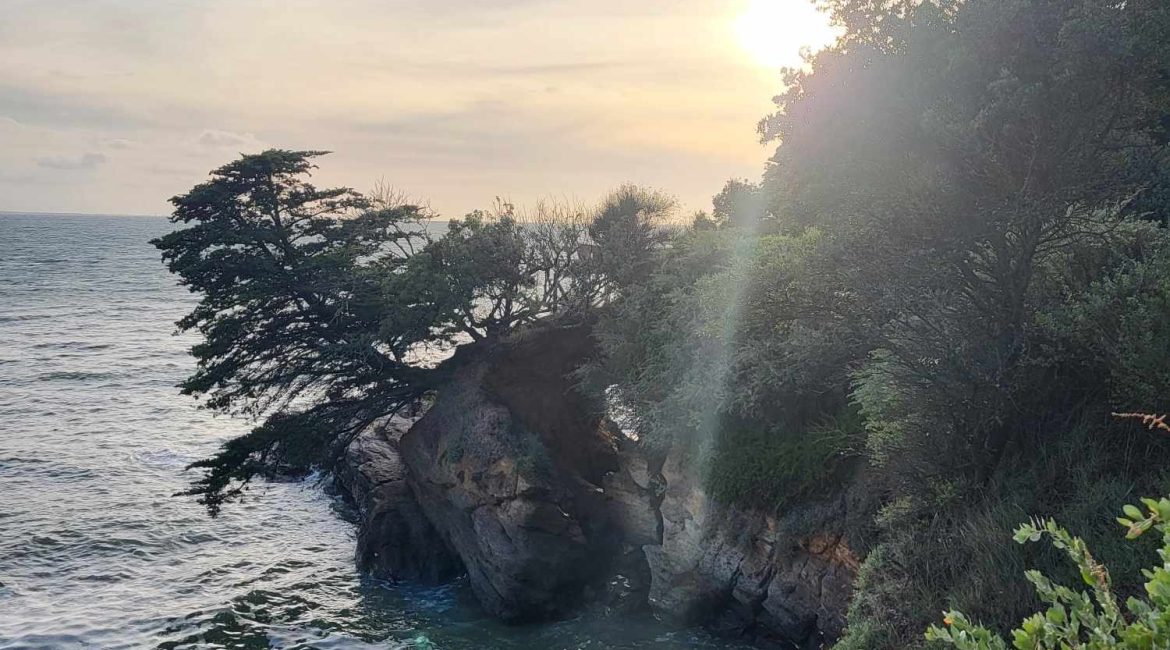 PORNIC local d'activité