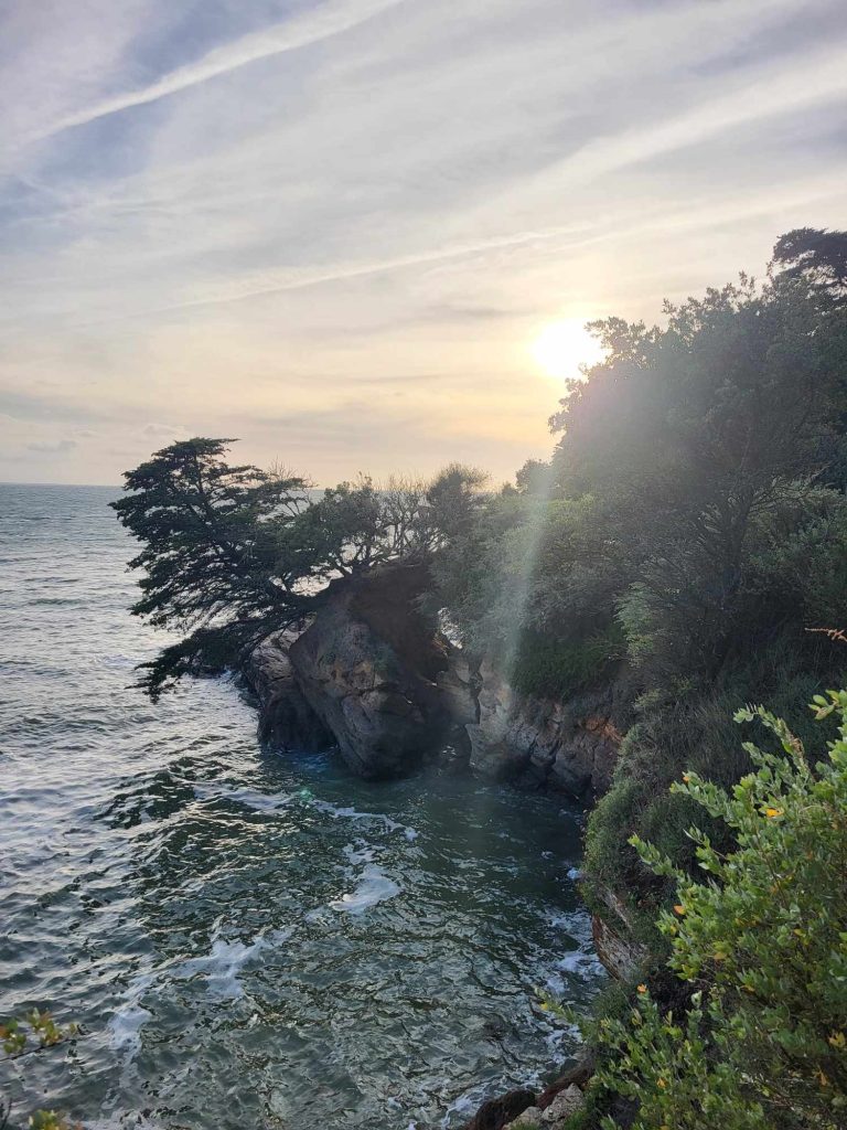 PORNIC local d'activité